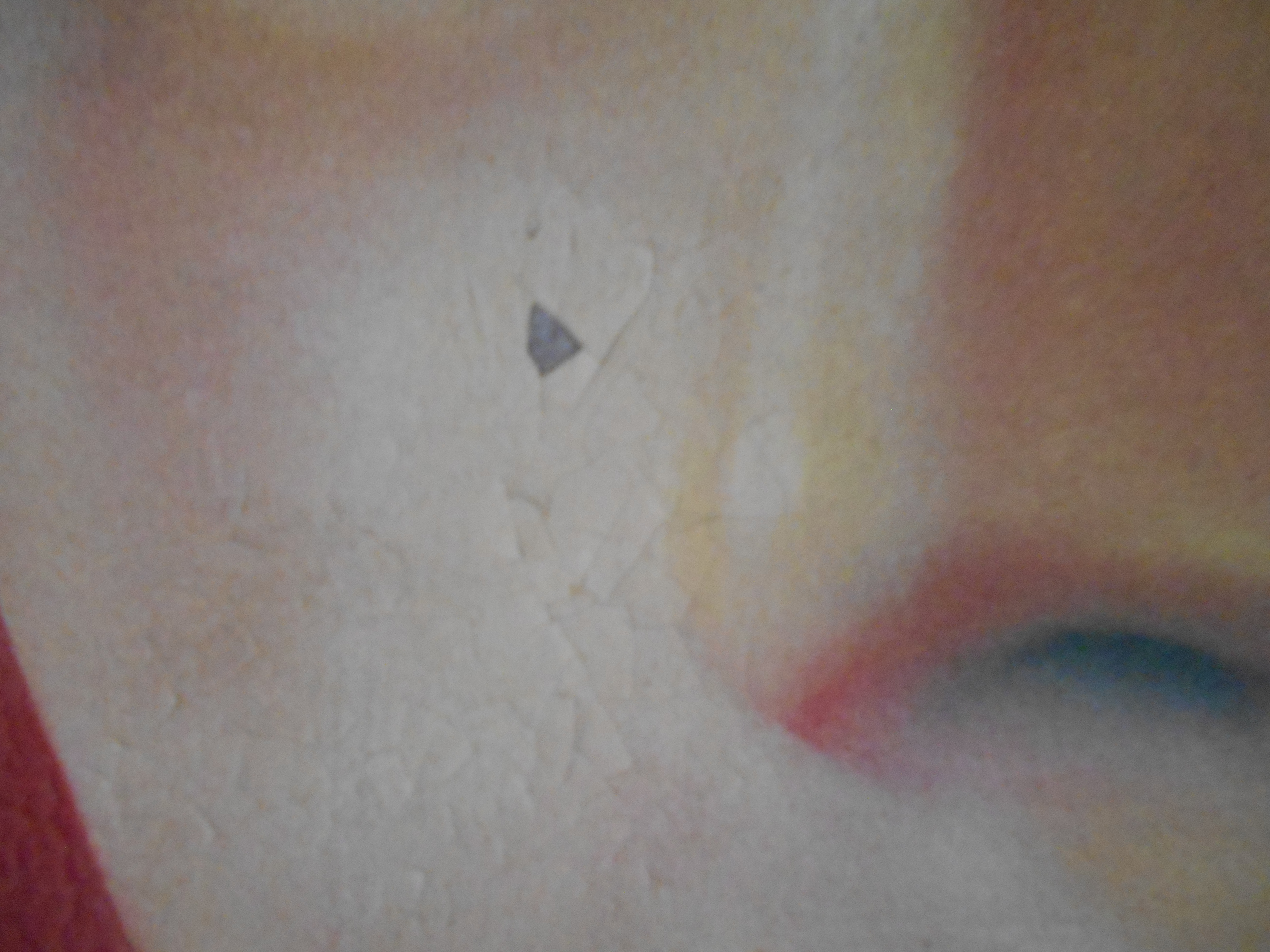 SamWalshArtThunderbirdInPink&Blue1968OilAirbrushAerosolMasoniteHardboard62x61cm Detail 001